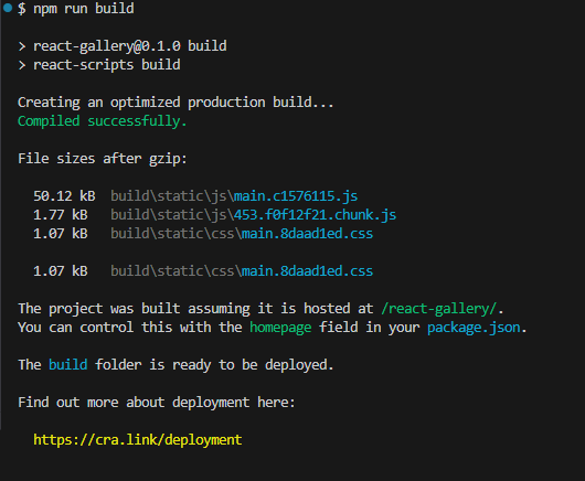 NPM Run Build Screenshot